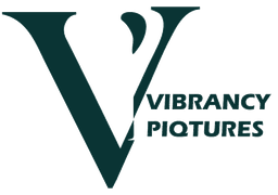 Vibrancy Piqtures Logo